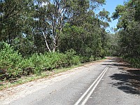 NSW - Caves Beach - Old Pacific Hwy south section 2 (19 Feb 2010)